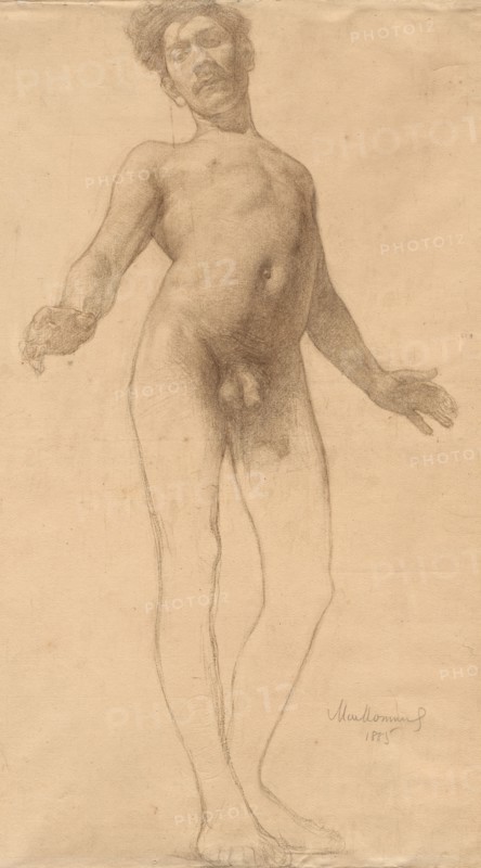 Standing Male Nude, 1885. Frederick William MacMonnies (American, 1863-1937). Charcoal and brown chalk; sheet: 61.7 x 39 cm (24 5/16 x 15 3/8 in.).