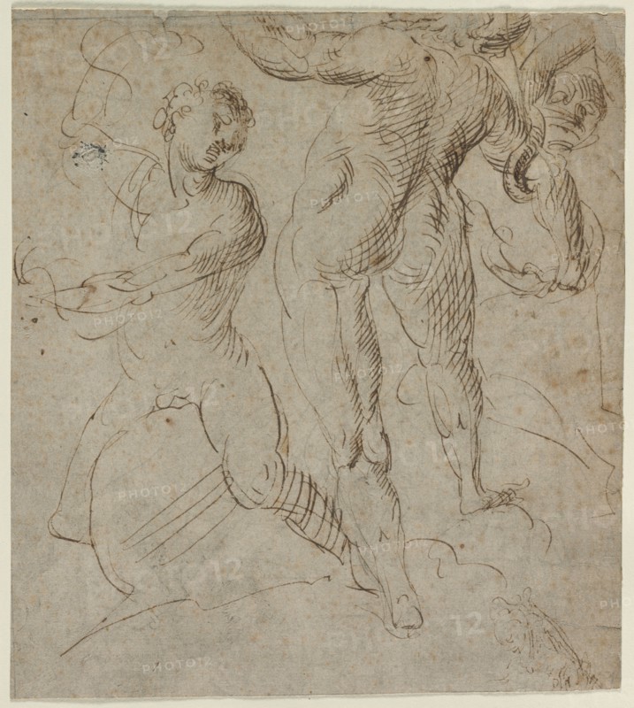 Laocoön (recto), second half 16th Century. Italy, 16th century. Pen and brown ink; sheet: 27.4 x 24.4 cm (10 13/16 x 9 5/8 in.).