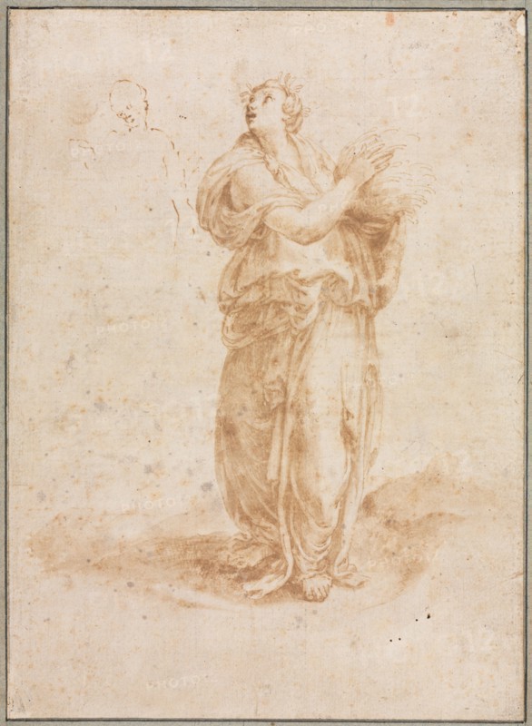 Ceres, 16th century. Lelio Orsi (Italian, 1511-1587). Pen and brown ink and brush and brown wash; incised, squared in black chalk, framing lines in graphite (left and bottom); sheet: 25.6 x 18.7 cm (10 1/16 x 7 3/8 in.); secondary support: 29.3 x 22 cm (11 9/16 x 8 11/16 in.).
