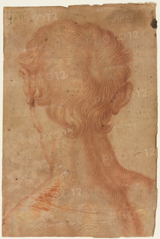Man's Head from the Back, 16th century?. Copy after Agnolo Bronzino (Italian, 1503-1572). Red chalk with red and white gouache; sheet: 19.4 x 12.8 cm (7 5/8 x 5 1/16 in.).