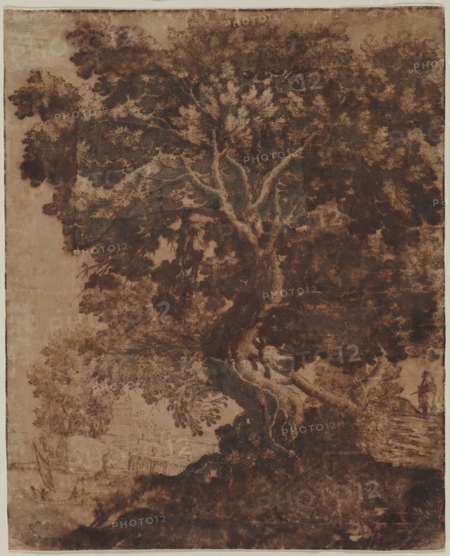 Tree in a Landscape, mid 17th century. Ercole Bazicaluva (Italian, c. 1610-1661). Pen and brown ink; framing lines in brown ink; sheet: 46 x 37.3 cm (18 1/8 x 14 11/16 in.); secondary support: 46 x 37.3 cm (18 1/8 x 14 11/16 in.).