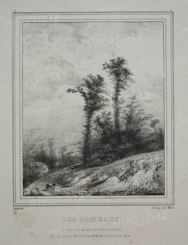 Landscapes:  Young Elm Trees, 1829. Paul Hüet (French, 1803-1869). Lithograph