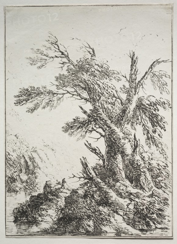 Specimens of Polyautography:  Along the Bank of a River. Henry Richard Warwick (British, 1779-1853). Lithograph