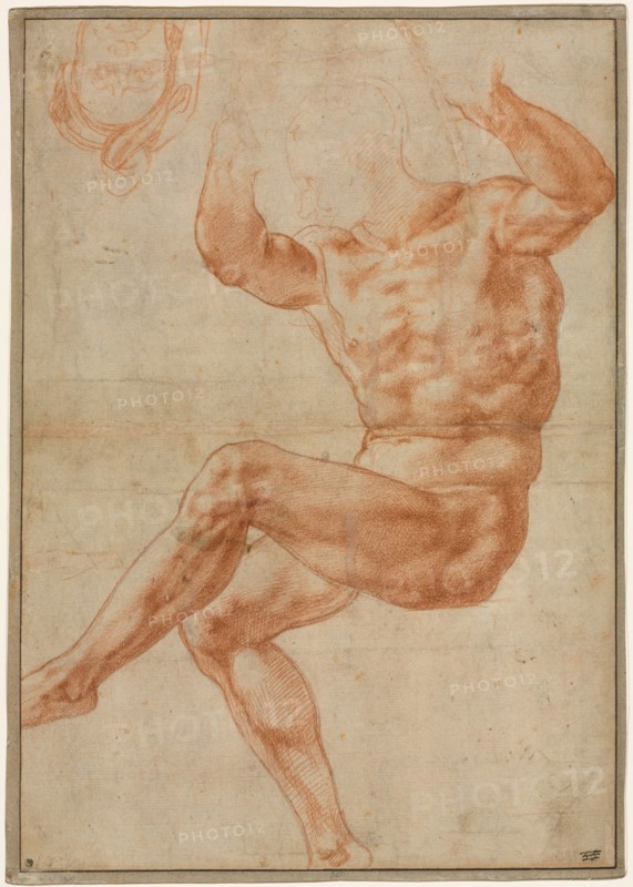 Study for the Nude Youth over the Prophet Daniel (recto); Figure Studies for the Sistine Ceiling (verso), 1510-11. Michelangelo Buonarroti (Italian, 1475-1564). Red chalk over black chalk; sheet: 34.3 x 24.3 cm (13 1/2 x 9 9/16 in.); secondary support: 34.4 x 24.4 cm (13 9/16 x 9 5/8 in.).