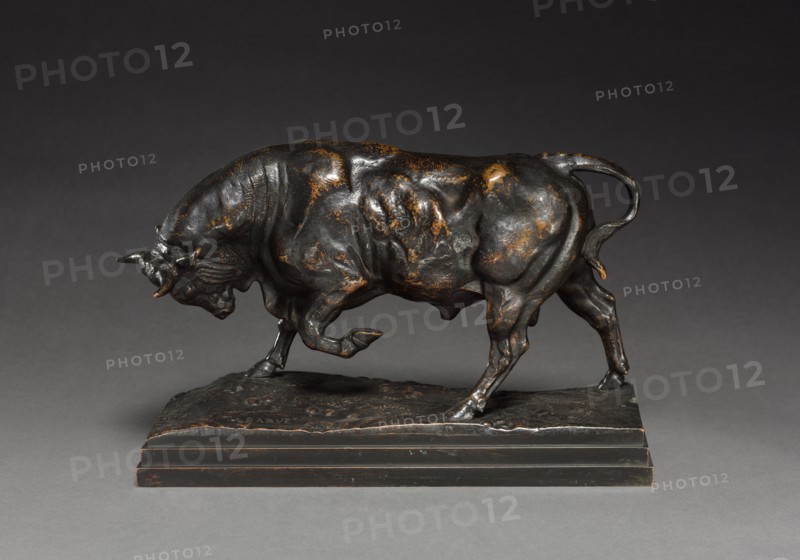 Bull, c. 1841. Antoine-Louis Barye (French, 1796-1875). Bronze; overall: 18.2 x 10.6 cm (7 3/16 x 4 3/16 in.)
