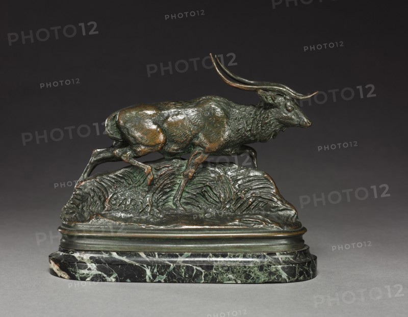 Axis Deer, 19th century. Antoine-Louis Barye (French, 1796-1875). Bronze; overall: 14.3 x 6.3 cm (5 5/8 x 2 1/2 in.).