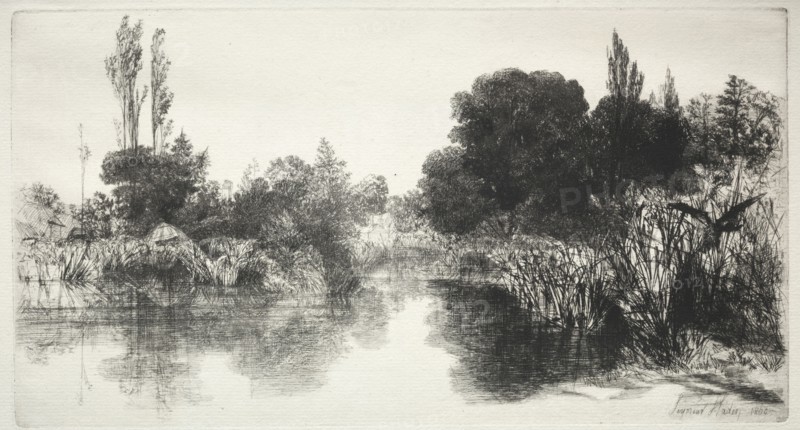 Shere Mill Pond (The Larger Plate), 1860. Francis Seymour Haden (British, 1818-1910). Etching