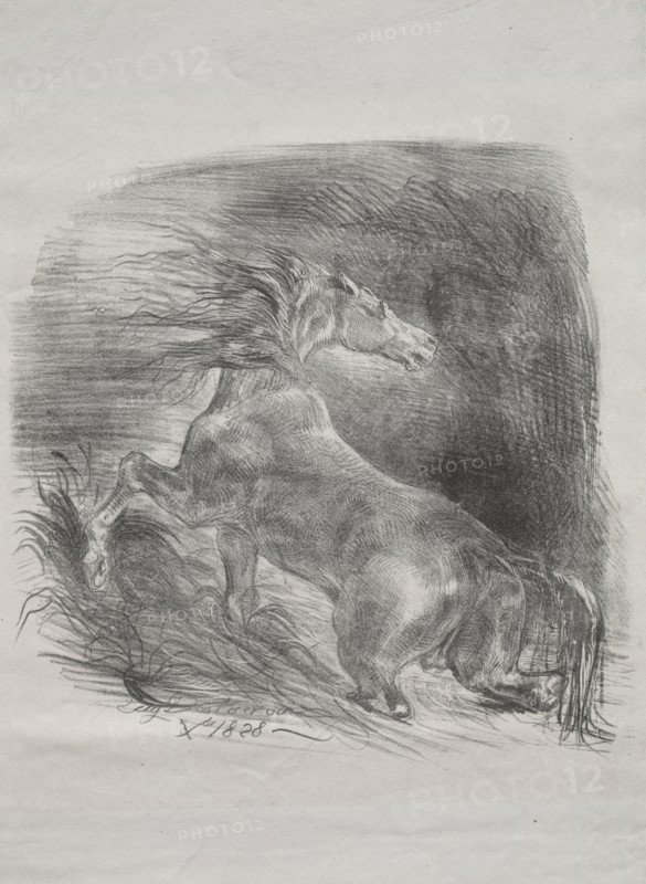 The Wild Horse, or Frightened Horse Leaving the Water, 1828. Eugène Delacroix (French, 1798-1863). Lithograph; sheet: 34.3 x 27.1 cm (13 1/2 x 10 11/16 in.); image: 23.5 x 24 cm (9 1/4 x 9 7/16 in.)
