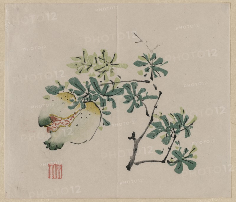 Branch with Pomegranate, 18th Century. China, Qing dynasty (1644-1911). Color woodblock print; overall: 28.1 x 24.4 cm (11 1/16 x 9 5/8 in.).