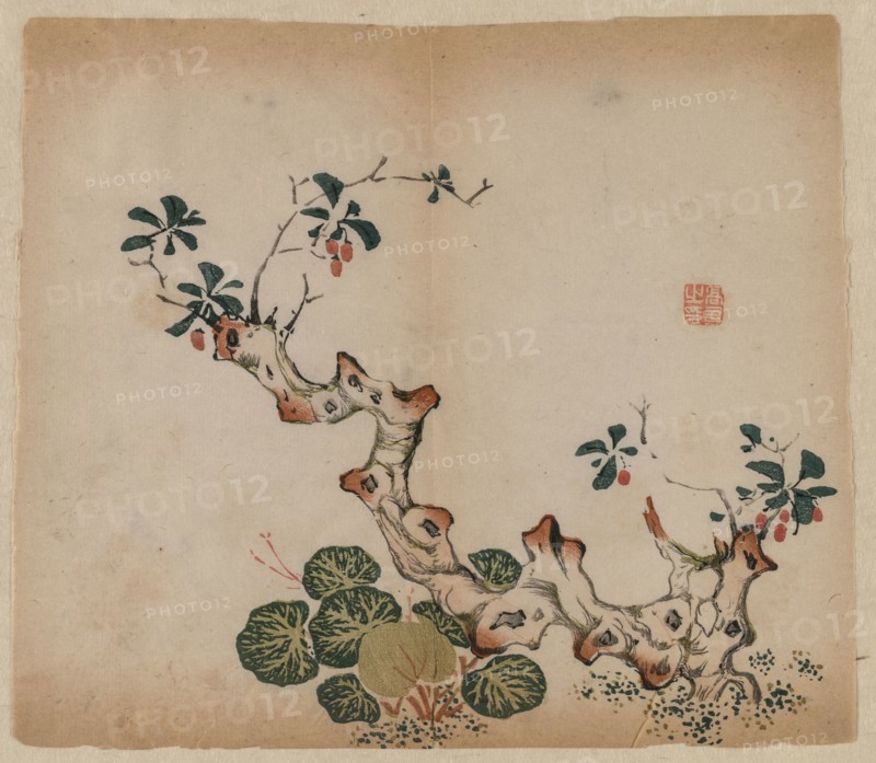 Branching Stump, 1368-1644. China, Ming dynasty (1368-1644) or later. Color woodblock print; overall: 28.6 x 24.8 cm (11 1/4 x 9 3/4 in.).