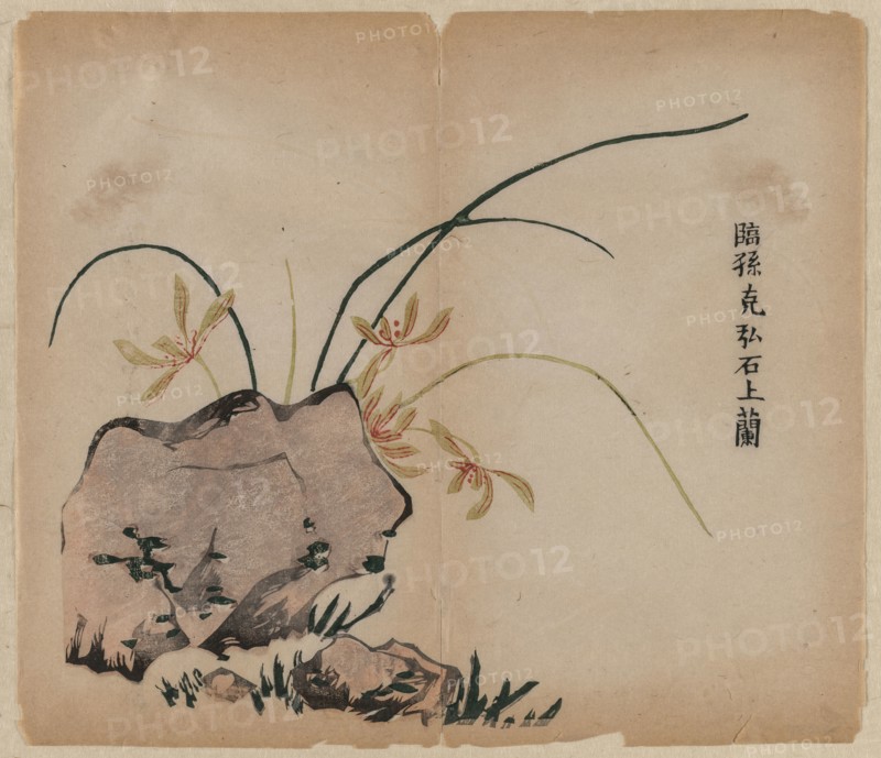 Orchid on Rocks, 18th Century. China, Qing dynasty (1644-1911). Color woodblock print; overall: 29 x 25 cm (11 7/16 x 9 13/16 in.).