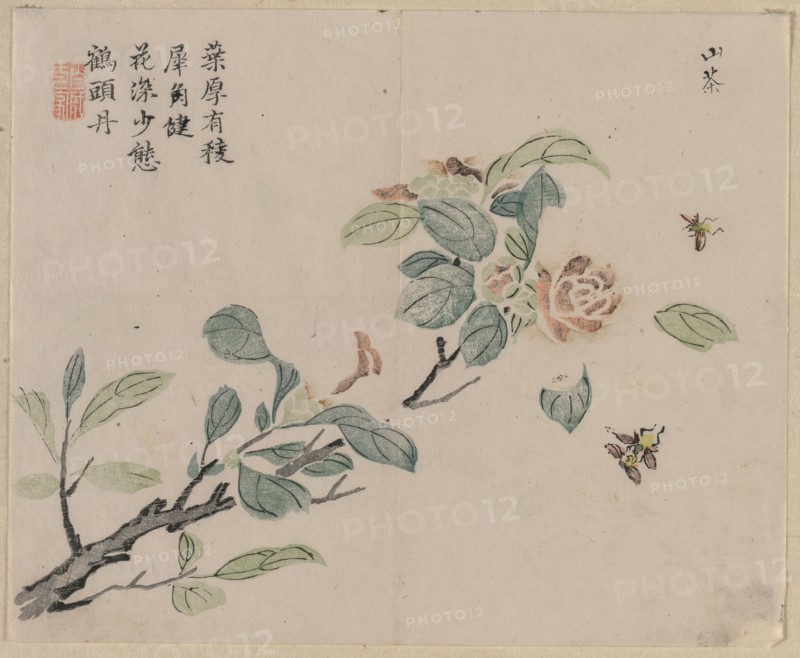 Flowering Branch with Bees, 18th Century. China, Qing dynasty (1644-1911). Color woodblock print; overall: 26.8 x 31.2 cm (10 9/16 x 12 5/16 in.).