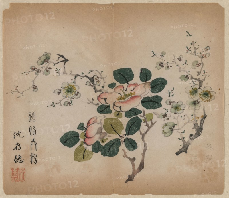 Flowering Prunus, 1368-1644. China, Ming dynasty (1368-1644) or later. Color woodblock print; overall: 30.4 x 25 cm (11 15/16 x 9 13/16 in.).