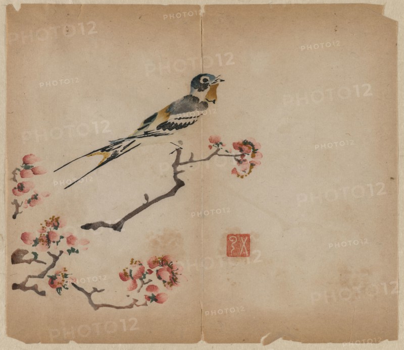 Swallow on Flowering Peach Branch, 1368-1644. China, Ming dynasty (1368-1644) or later. Color woodblock print; overall: 28.8 x 24.8 cm (11 5/16 x 9 3/4 in.).
