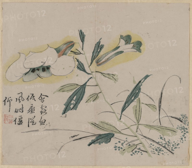 Flowering Lily, 18th Century. China, Qing dynasty (1644-1911). Color woodblock print; overall: 30.1 x 26.2 cm (11 7/8 x 10 5/16 in.).