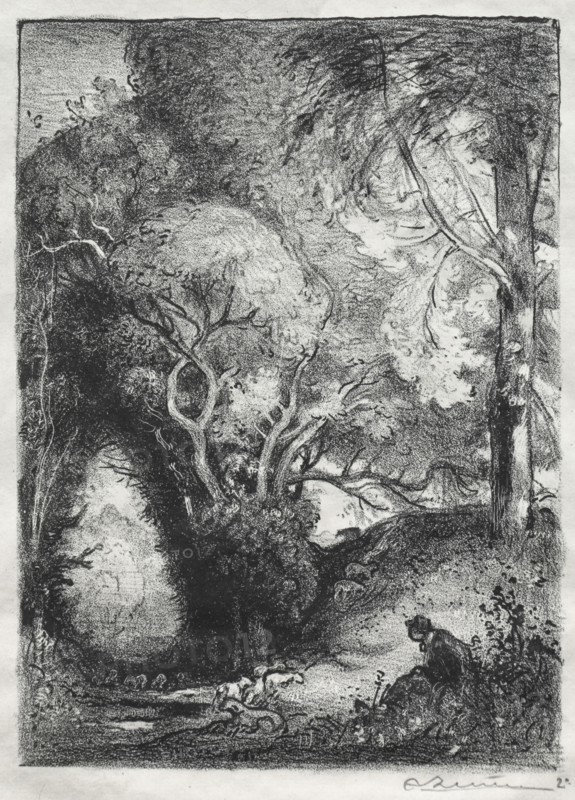 The Ravine in June. Auguste Louis Lepère (French, 1849-1918). Lithograph
