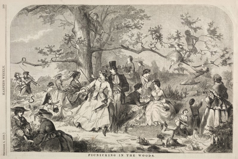 Picknicking in the Woods, 1858. Winslow Homer (American, 1836-1910). Wood engraving