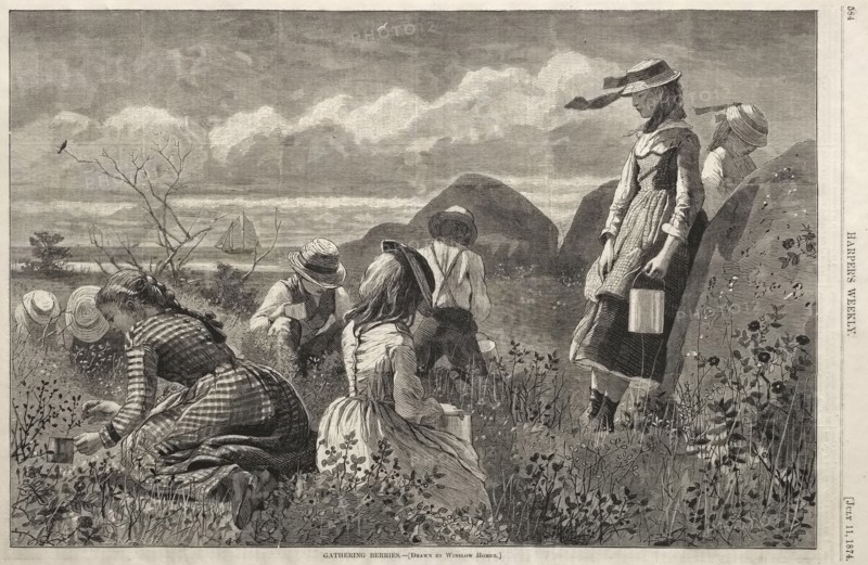 Gathering Berries, 1874. Winslow Homer (American, 1836-1910). Wood engraving