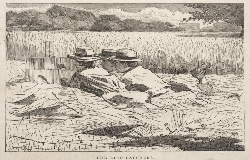 The Bird Catchers, 1867. Winslow Homer (American, 1836-1910). Wood engraving