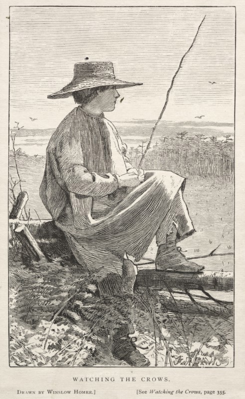Watching the Crows, 1868. Winslow Homer (American, 1836-1910). Wood engraving