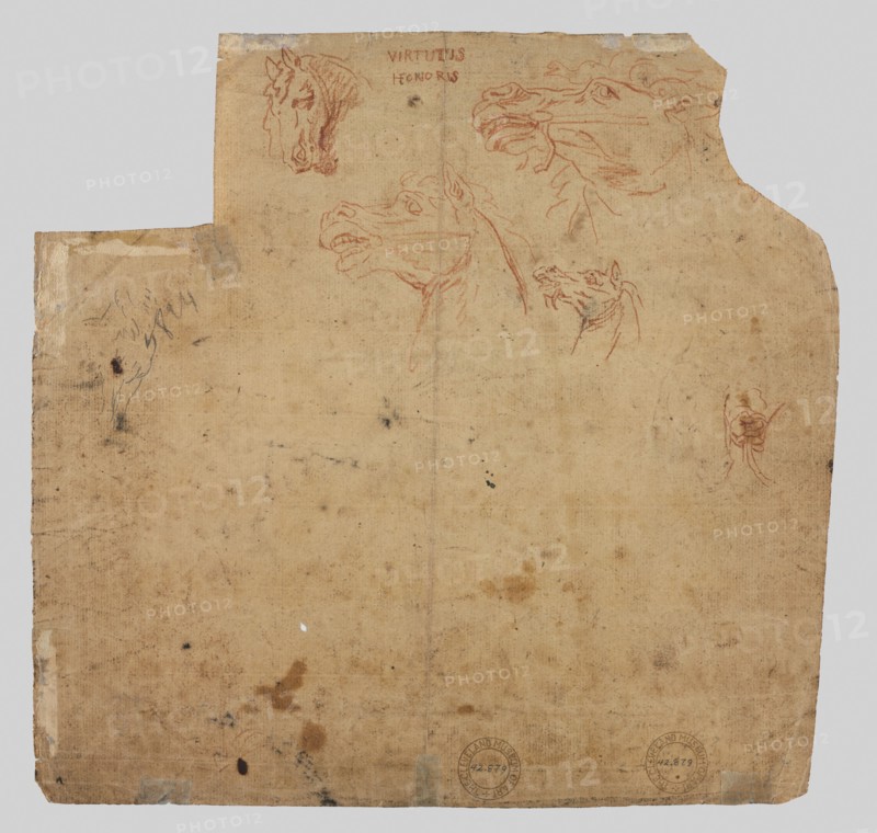 Sketches of Horses (verso), 17th century. Flanders, 17th century. Red chalk; sheet: 24 x 25 cm (9 7/16 x 9 13/16 in.).