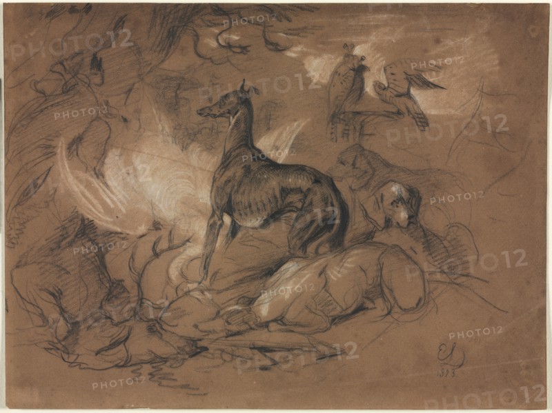Studies of Animals, 1873. Edwin Henry Landseer (British, 1802-1873). Charcoal and pencil heightened with white; sheet: 20.6 x 27.8 cm (8 1/8 x 10 15/16 in.).