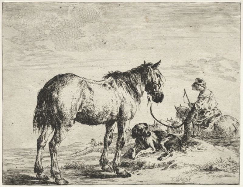 Horse bound to a post. Dirck Stoop (Dutch, c. 1618-1681). Etching