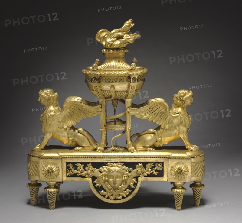 Andiron (Chenet), c. 1785. France, 18th century. Gilt bronze; overall: 50.3 x 46.3 x 14 cm (19 13/16 x 18 1/4 x 5 1/2 in.).