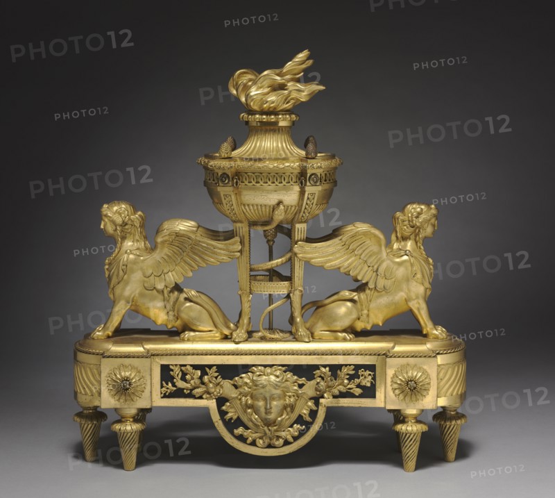 Andiron (Chenet), c. 1785. France, 18th century. Gilt bronze; overall: 50.3 x 46.3 x 14 cm (19 13/16 x 18 1/4 x 5 1/2 in.).