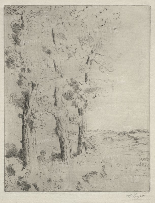 The Reader:  The Lecture under the Trees, c. 1882. Alphonse Legros (French, 1837-1911). Drypoint