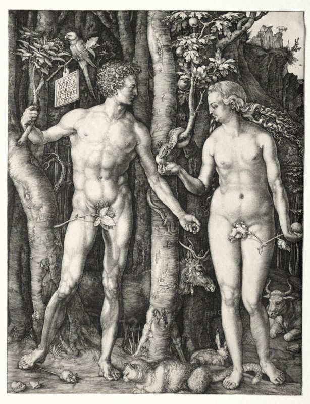 Adam and Eve, 1504. Albrecht Dürer (German, 1471-1528). Engraving; sheet: 25.2 x 19.4 cm (9 15/16 x 7 5/8 in.); image: 25 x 19.2 cm (9 13/16 x 7 9/16 in.)