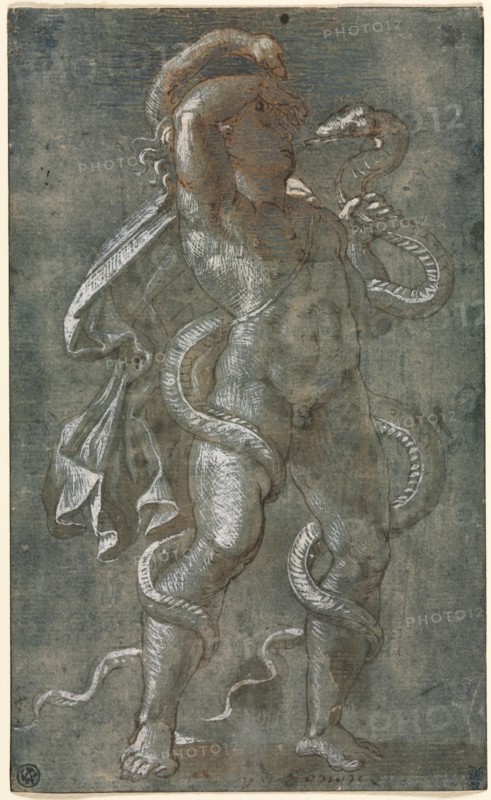 Man Entwined by Two Snakes, c. 1527. Attributed to Giovanni Antonio da Pordenone (Italian, 1483/84-1539). Pen and brown ink and brush and brown wash with blue gouache, heightened with white gouache; framing lines in brown ink; sheet: 19.2 x 11.7 cm (7 9/16 x 4 5/8 in.).