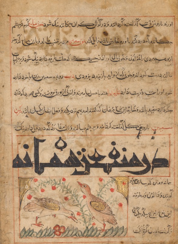 On the Benefits of Quails (verso) from a Manafi' al-Hayawan (On the Usefulness of Animals) of Ibn Bakhtishu' (d. 1058), c. 1300. Iran, probably Maragah, Ilkhanid period (1256-1353). Opaque watercolor, ink, and gold on paper; image: 10.7 x 6 cm (4 3/16 x 2 3/8 in.); overall: 24.7 x 18.2 cm (9 3/4 x 7 3/16 in.); text area: 22.5 x 16.5 cm (8 7/8 x 6 1/2 in.).