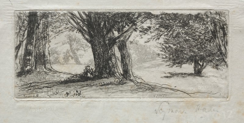 Holly Field. Francis Seymour Haden (British, 1818-1910). Etching