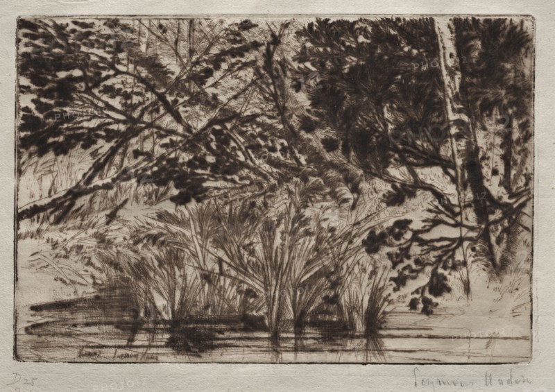 The Mouth of a Brook (Second Plate). Francis Seymour Haden (British, 1818-1910). Drypoint