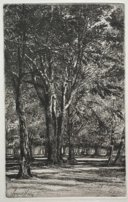 Kensington Gardens (The Large Plate), 1860. Francis Seymour Haden (British, 1818-1910). Etching and drypoint