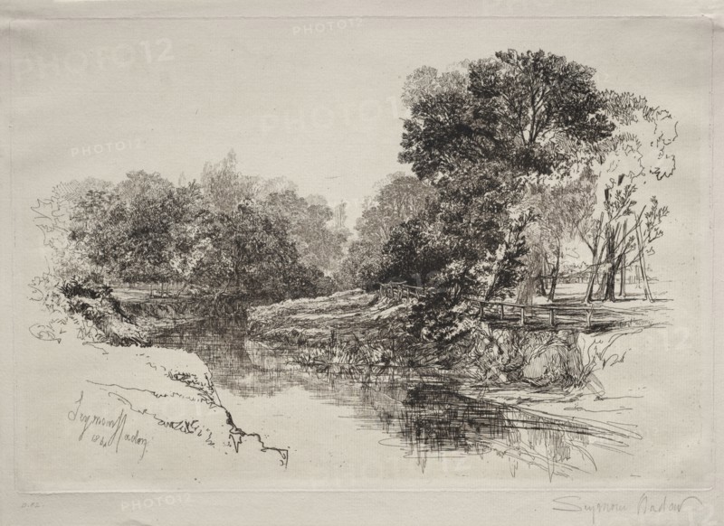 A River in Ireland, 1864. Francis Seymour Haden (British, 1818-1910). Etching