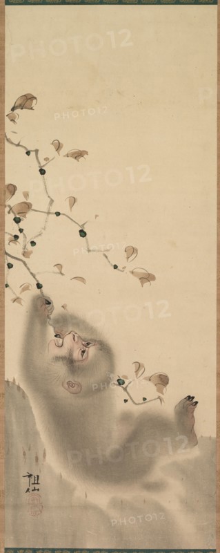 Monkey Hanging on to a Branch, 1780. Mori Sosen (Japanese, 1747-1821). Hanging scroll; color on paper; overall: 68.6 x 25.7 cm (27 x 10 1/8 in.).