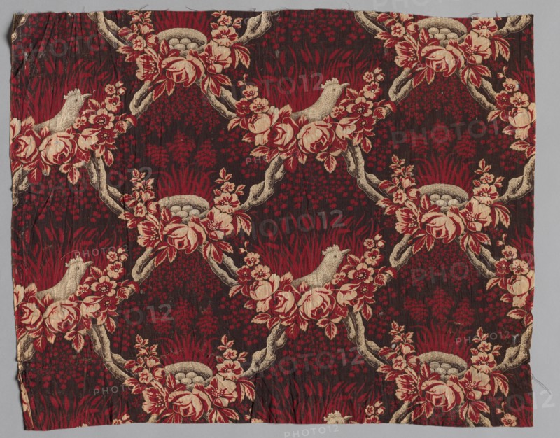 Roller Printed Cotton Textile, 19th century. America, 19th century. Plain cloth, roller printed: cotton; average: 57.5 x 61.9 cm (22 5/8 x 24 3/8 in.)
