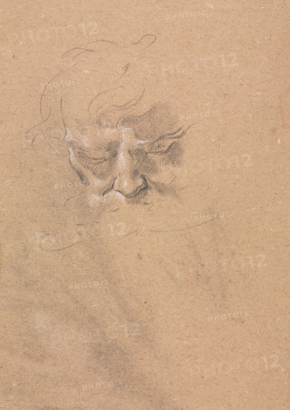 Verona Sketchbook: Male head (page 80), 1760. Francesco Lorenzi (Italian, 1723-1787). Black chalk with white heightening ; sheet: 32 x 23 cm (12 5/8 x 9 1/16 in.).