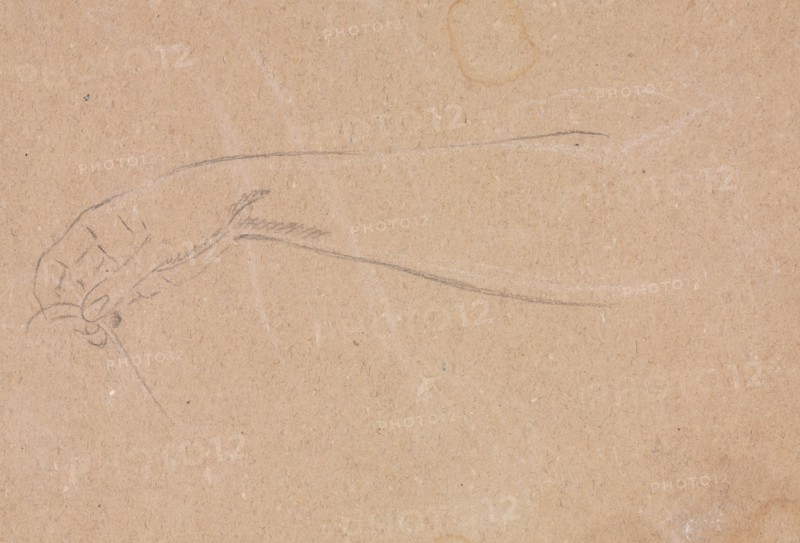 Verona Sketchbook: Right hand (page 3), 1760. Francesco Lorenzi (Italian, 1723-1787). Black chalk with white heightening ; sheet: 32 x 23 cm (12 5/8 x 9 1/16 in.).
