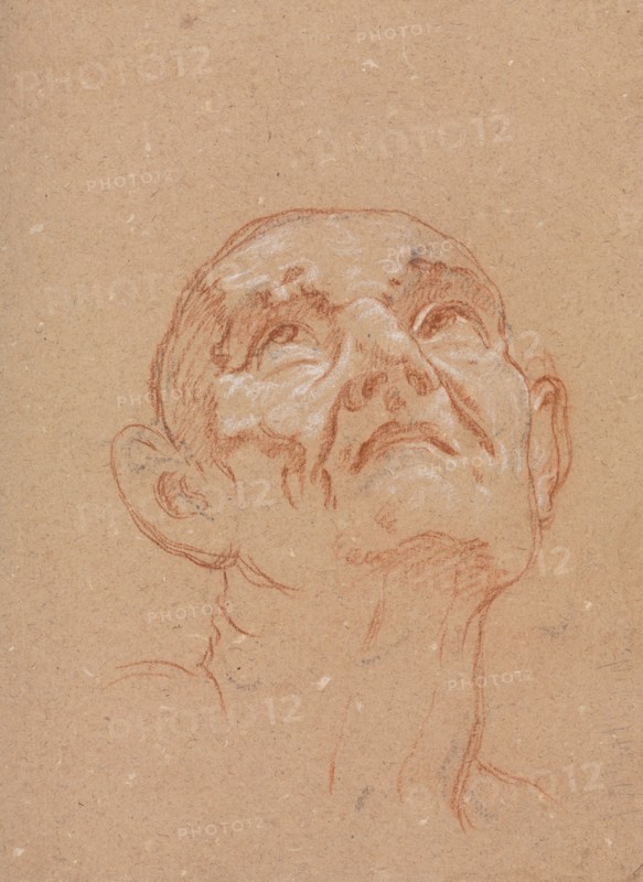 Verona Sketchbook: Male head (page 31), 1760. Francesco Lorenzi (Italian, 1723-1787). Red chalk with white heightening ; sheet: 32 x 23 cm (12 5/8 x 9 1/16 in.).