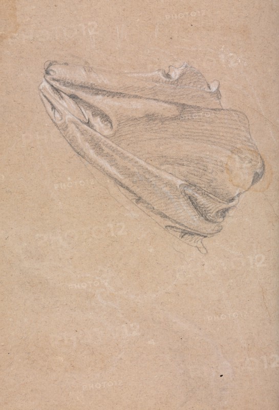 Verona Sketchbook: Drapery study (page 6), 1760. Francesco Lorenzi (Italian, 1723-1787). Black chalk with white heightening ; sheet: 32 x 23 cm (12 5/8 x 9 1/16 in.).