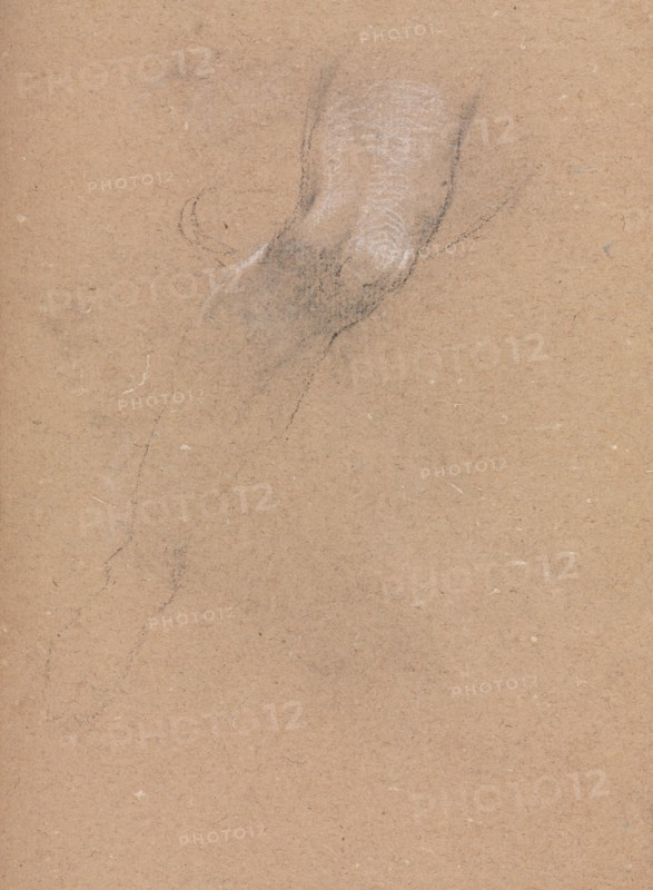 Verona Sketchbook: Right leg (page 33), 1760. Francesco Lorenzi (Italian, 1723-1787). Black chalk with white heightening ; sheet: 32 x 23 cm (12 5/8 x 9 1/16 in.).