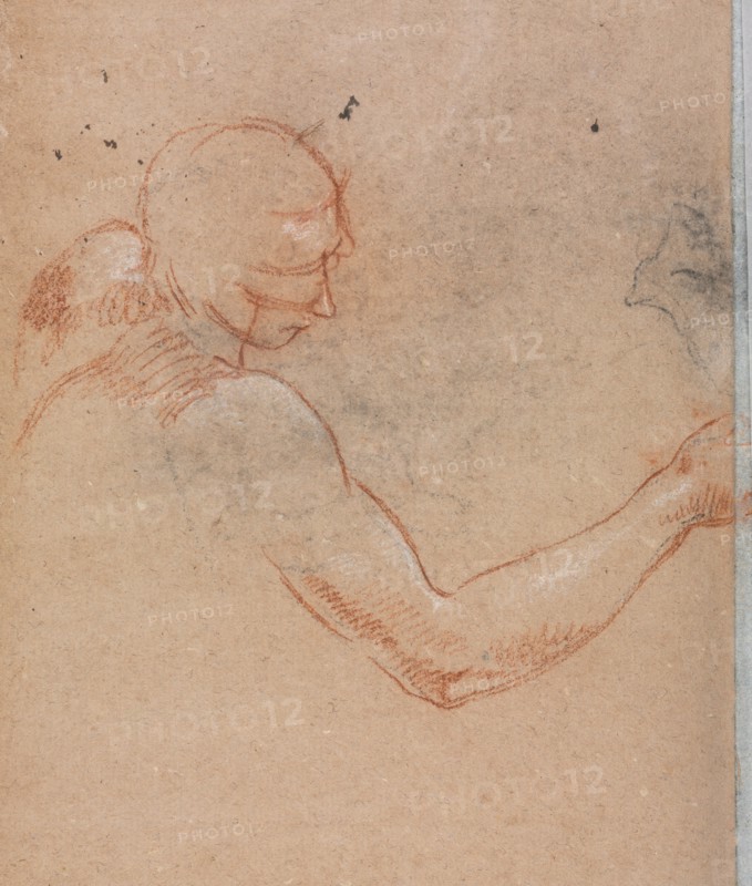 Verona Sketchbook: Nude with head and right arm (page 36), 1760. Francesco Lorenzi (Italian, 1723-1787). Red chalk with white heightening ; sheet: 32 x 23 cm (12 5/8 x 9 1/16 in.).