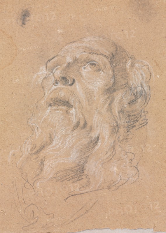 Verona Sketchbook: Male head (page 89), 1760. Francesco Lorenzi (Italian, 1723-1787). Black chalk with white heightening ; sheet: 32 x 23 cm (12 5/8 x 9 1/16 in.).