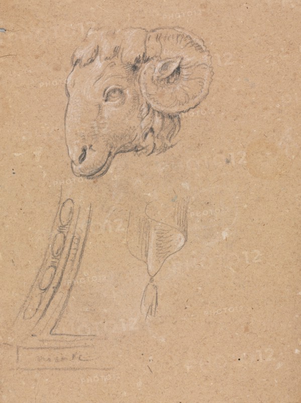 Verona Sketchbook: Ram's head (page12), 1760. Francesco Lorenzi (Italian, 1723-1787). Black chalk with white heightening ; sheet: 32 x 23 cm (12 5/8 x 9 1/16 in.).