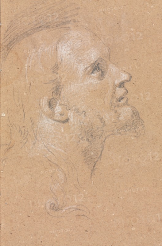 Verona Sketchbook: Male head in profile (page 91) , 1760. Francesco Lorenzi (Italian, 1723-1787). Black chalk with white heightening ; sheet: 32 x 23 cm (12 5/8 x 9 1/16 in.).