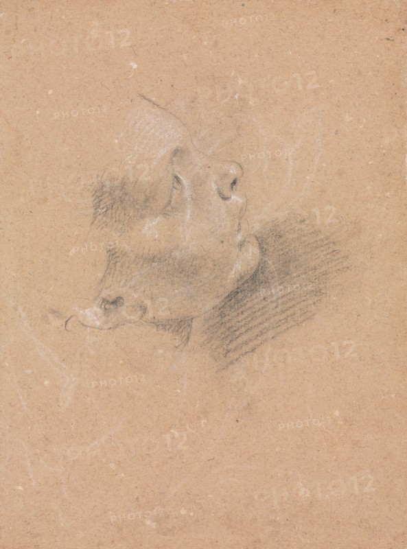 Verona Sketchbook: Female profile (page 65), 1760. Francesco Lorenzi (Italian, 1723-1787). Black chalk with white heightening ; sheet: 32 x 23 cm (12 5/8 x 9 1/16 in.).