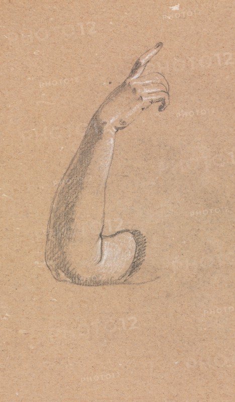Verona Sketchbook: Right arm and hand (page 66), 1760. Francesco Lorenzi (Italian, 1723-1787). Black chalk with white heightening ; sheet: 32 x 23 cm (12 5/8 x 9 1/16 in.).